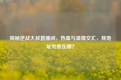 探秘逆战大叔直播间，热血与温情交汇，其地址究竟在哪？