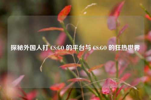 探秘外国人打 CS:GO 的平台与 CS:GO 的狂热世界