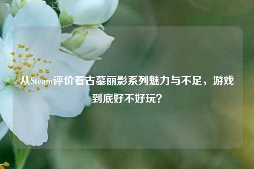 从Steam评价看古墓丽影系列魅力与不足，游戏到底好不好玩？