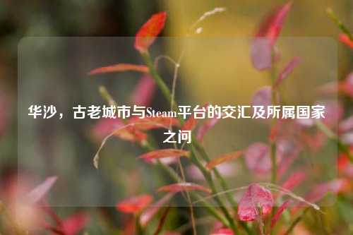 华沙，古老城市与Steam平台的交汇及所属国家之问