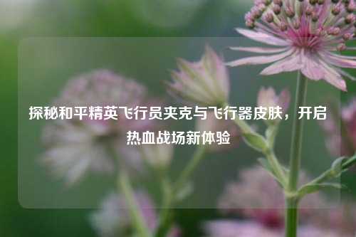 探秘和平精英飞行员夹克与飞行器皮肤，开启热血战场新体验