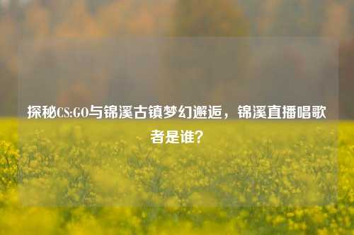 探秘CS:GO与锦溪古镇梦幻邂逅，锦溪直播唱歌者是谁？