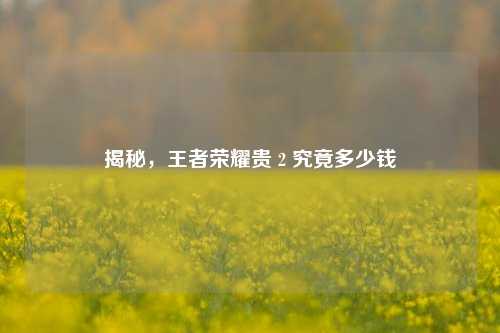 揭秘，王者荣耀贵 2 究竟多少钱