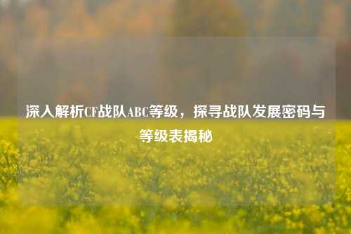 深入解析CF战队ABC等级，探寻战队发展密码与等级表揭秘