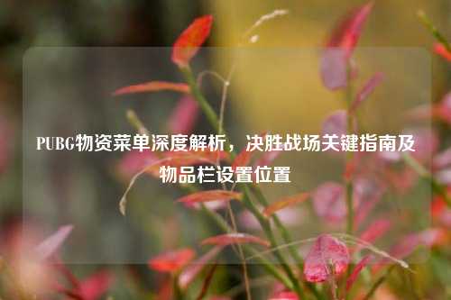 PUBG物资菜单深度解析，决胜战场关键指南及物品栏设置位置