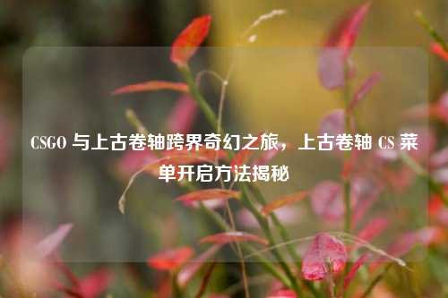 CSGO 与上古卷轴跨界奇幻之旅，上古卷轴 CS 菜单开启方法揭秘