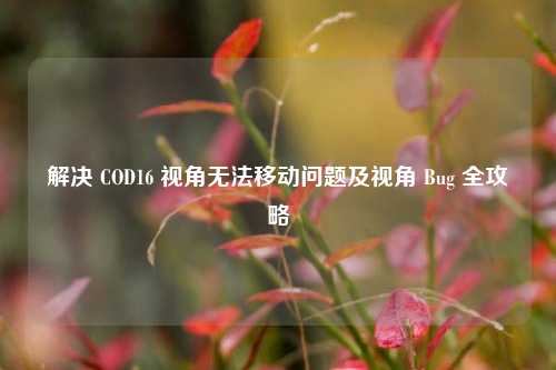 解决 COD16 视角无法移动问题及视角 Bug 全攻略