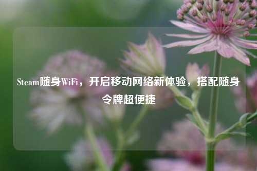 Steam随身WiFi，开启移动网络新体验，搭配随身令牌超便捷