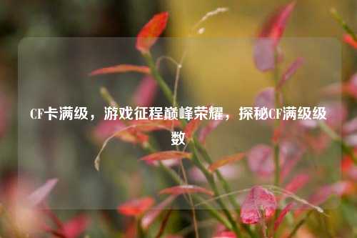 CF卡满级,游戏征程巅峰荣耀,探秘CF满级级数
