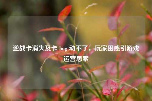 逆战卡消失及卡 bug 动不了，玩家困惑引游戏运营思索