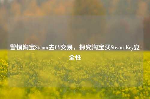 警惕淘宝Steam去CY交易，探究淘宝买Steam Key安全性