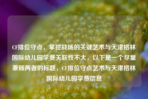 CF排位守点，掌控战场的关键艺术与天津格林国际幼儿园学费关联性不大，以下是一个尽量兼顾两者的标题，CF排位守点艺术与天津格林国际幼儿园学费信息
