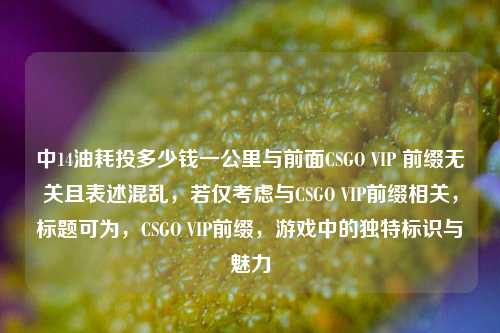 中14油耗投多少钱一公里与前面CSGO VIP 前缀无关且表述混乱，若仅考虑与CSGO VIP前缀相关，标题可为，CSGO VIP前缀，游戏中的独特标识与魅力