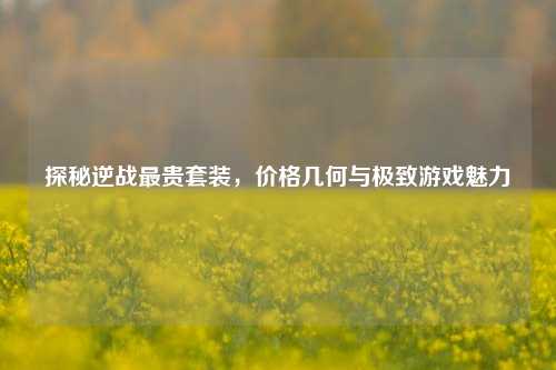探秘逆战最贵套装，价格几何与极致游戏魅力