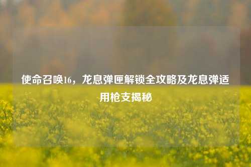 使命召唤16，龙息弹匣解锁全攻略及龙息弹适用枪支揭秘