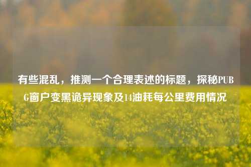 有些混乱，推测一个合理表述的标题，探秘PUBG窗户变黑诡异现象及14油耗每公里费用情况