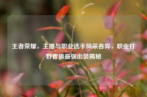 王者荣耀，主播与职业选手风采各异，职业打野曹操最强出装揭秘