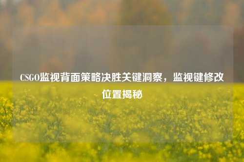 CSGO监视背面策略决胜关键洞察,监视键修改位置揭秘