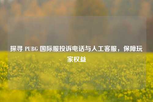 探寻 PUBG 国际服投诉电话与人工客服，保障玩家权益