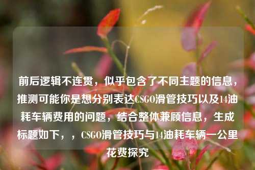 前后逻辑不连贯，似乎包含了不同主题的信息，推测可能你是想分别表达CSGO滑管技巧以及14油耗车辆费用的问题，结合整体兼顾信息，生成标题如下，，CSGO滑管技巧与14油耗车辆一公里花费探究
