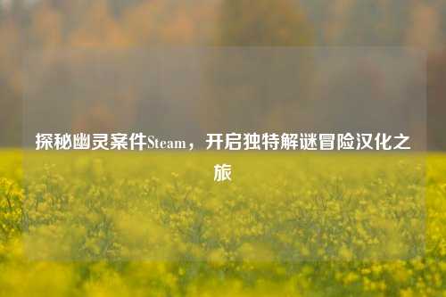 探秘幽灵案件Steam，开启独特解谜冒险汉化之旅
