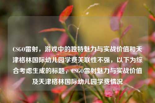 CSGO雷射，游戏中的独特魅力与实战价值和天津格林国际幼儿园学费关联性不强，以下为综合考虑生成的标题，CSGO雷射魅力与实战价值及天津格林国际幼儿园学费情况