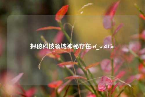 探秘科技领域神秘存在 cf_wu815n