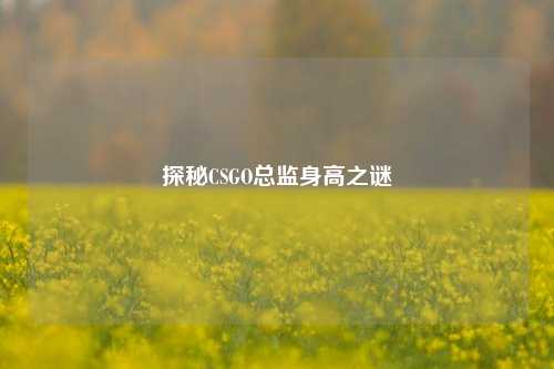 探秘CSGO总监身高之谜