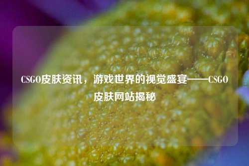 CSGO皮肤资讯，游戏世界的视觉盛宴——CSGO皮肤网站揭秘