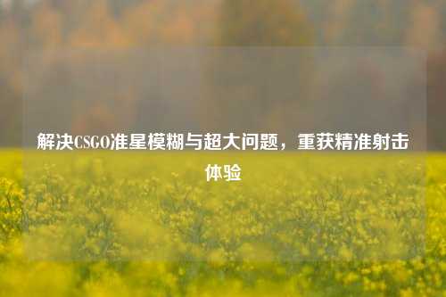 解决CSGO准星模糊与超大问题，重获精准射击体验