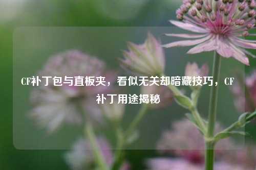 CF补丁包与直板夹，看似无关却暗藏技巧，CF补丁用途揭秘