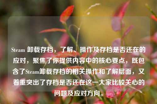 Steam 卸载存档，了解、操作及存档是否还在的应对，聚焦了你提供内容中的核心要点，既包含了Steam卸载存档的相关操作和了解层面，又着重突出了存档是否还在这一大家比较关心的问题及应对方向。