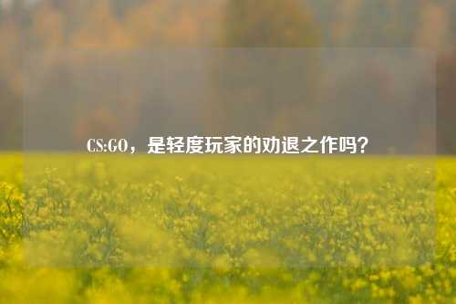 CS:GO，是轻度玩家的劝退之作吗？