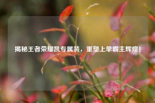 揭秘王者荣耀凯专属装，重塑上单霸主辉煌！