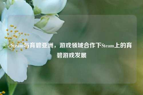Steam与育碧亚洲，游戏领域合作下Steam上的育碧游戏发展