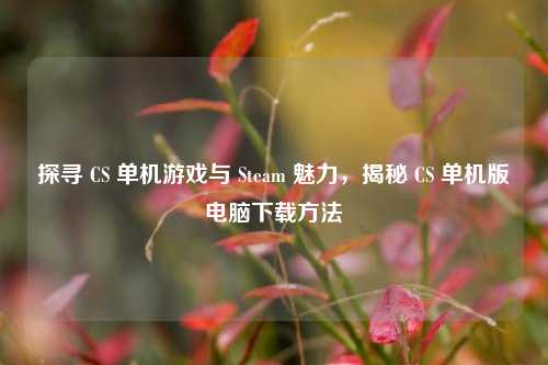探寻 CS 单机游戏与 Steam 魅力，揭秘 CS 单机版电脑下载方法