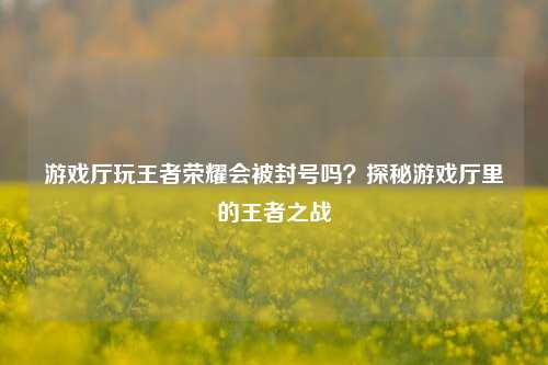 游戏厅玩王者荣耀会被封号吗？探秘游戏厅里的王者之战