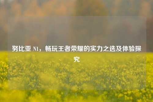 努比亚 N1,畅玩王者荣耀的实力之选及体验探究
