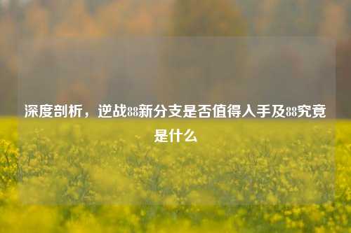 深度剖析，逆战88新分支是否值得入手及88究竟是什么
