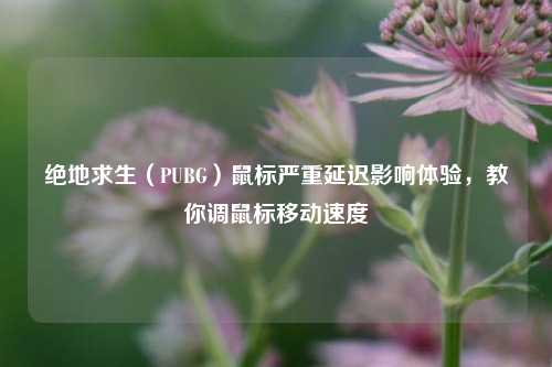绝地求生（PUBG）鼠标严重延迟影响体验，教你调鼠标移动速度