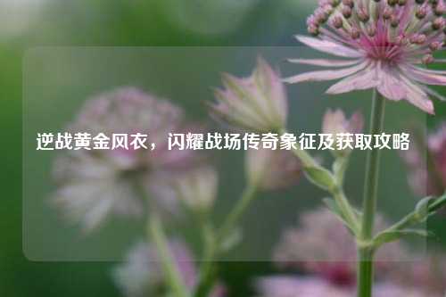 逆战黄金风衣，闪耀战场传奇象征及获取攻略