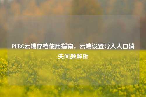 PUBG云端存档使用指南，云端设置导入入口消失问题解析