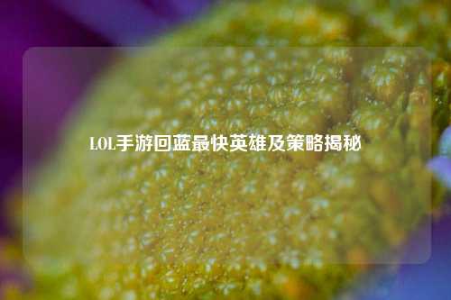 LOL手游回蓝最快英雄及策略揭秘