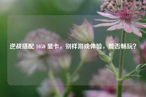 逆战搭配 1050 显卡,别样游戏体验,能否畅玩?