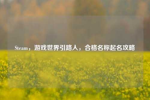 Steam，游戏世界引路人，合格名称起名攻略