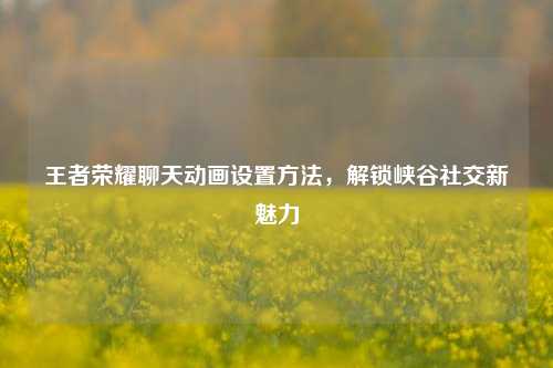 王者荣耀聊天动画设置方法，解锁峡谷社交新魅力
