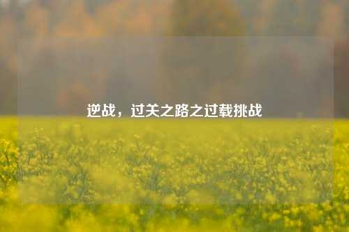 逆战，过关之路之过载挑战
