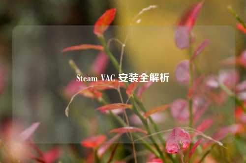 Steam VAC 安装全解析