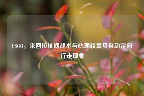 CSGO，来回拉扯间战术与心理较量及自动定向行走现象