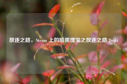 放逐之路，Steam 上的暗黑瑰宝之放逐之路 2wiki